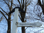 Napoleonspaadje